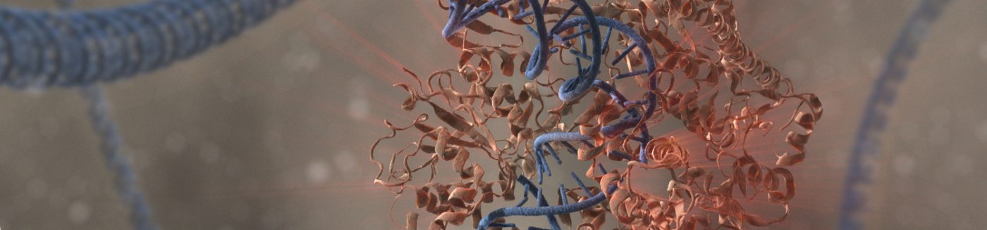 Protein structure illustration