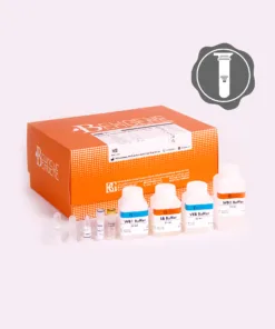 BehPrep Viral Nucleic Acid Extraction Kit