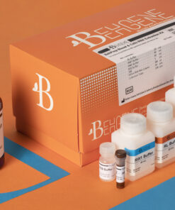 BehPrep Blood & Cells RNA Extraction Kit(RUO)