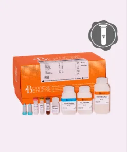 BehPrep DNA/RNA Co-Extraction Kit