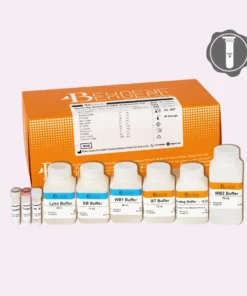 کیت استخراج dna از باکتری BehPrep Bacterial DNA Extraction Kit