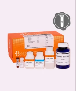 BehPrep Blood & Cells RNA Extraction Kit (RUO)