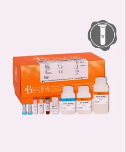 BehPrep-DNA-RNA-Co-Extraction-Kit