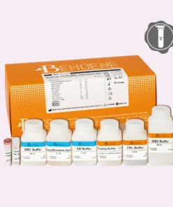 BehPrep-FFPE-RNA-Extraction-Kit