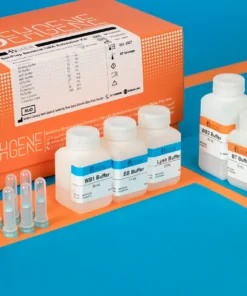 BehPrep Bacterial DNA Extraction Kit