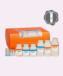 کیت استخراج DNA ژنومی Behprep High G-DNA مدل RUO