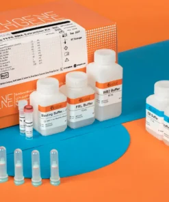 BehPrep-FFPE-RNA-Extraction-Kit