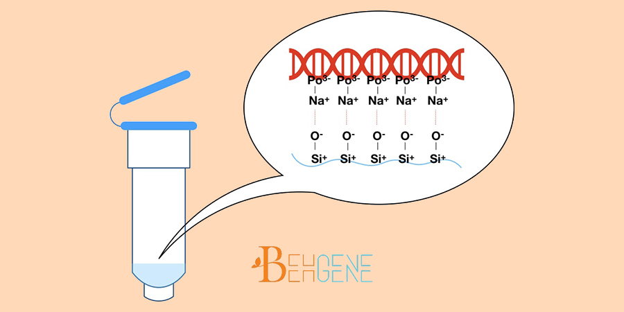 کاربردهای استخراج ستونی DNA