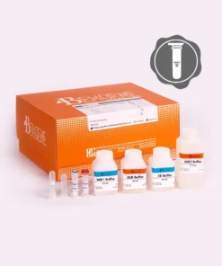 BehPrep Genomic DNA Extraction Kit