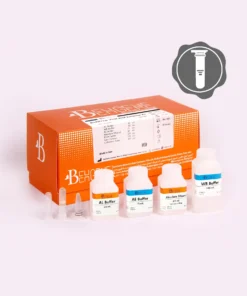 BehPrep Viral RNA Extraction Kit (IVD)