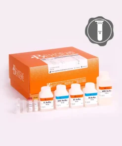 BehPrep-Fungal-DNA-Extraction-Kit