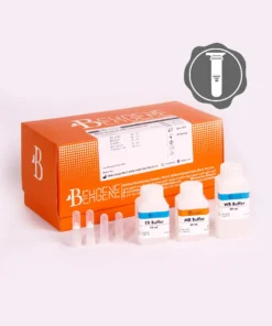 BehPrep Gel&PCR Purification Kit